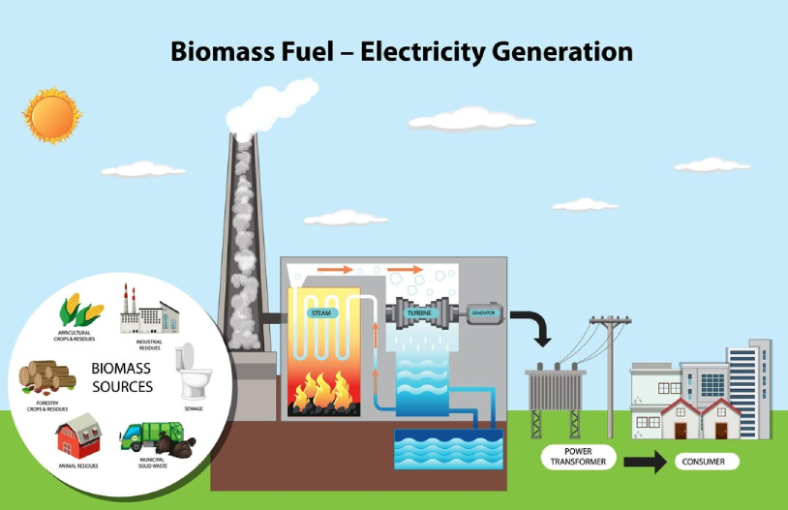 Waste to Energy Plants in India Leading waste to Energy Solutions