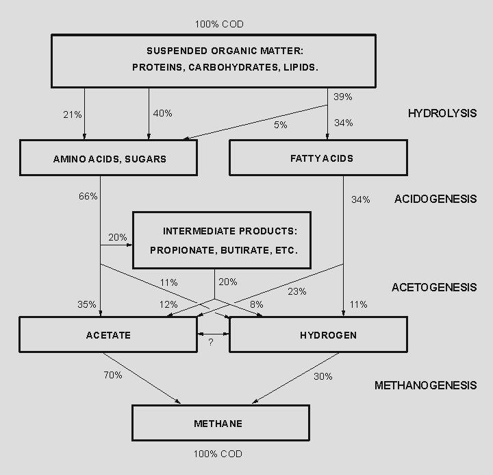 TYPICAL ANAEROBIC DIGESTION CYCLE