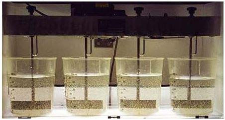 wastewater treatability studies